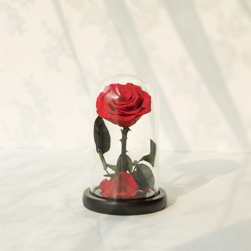 NATROSES Handmade Preserved Roses in Glass Dome, Red Roses, Preserved Flowers Gifts for Women, Mothers Day Flowers - Image 3